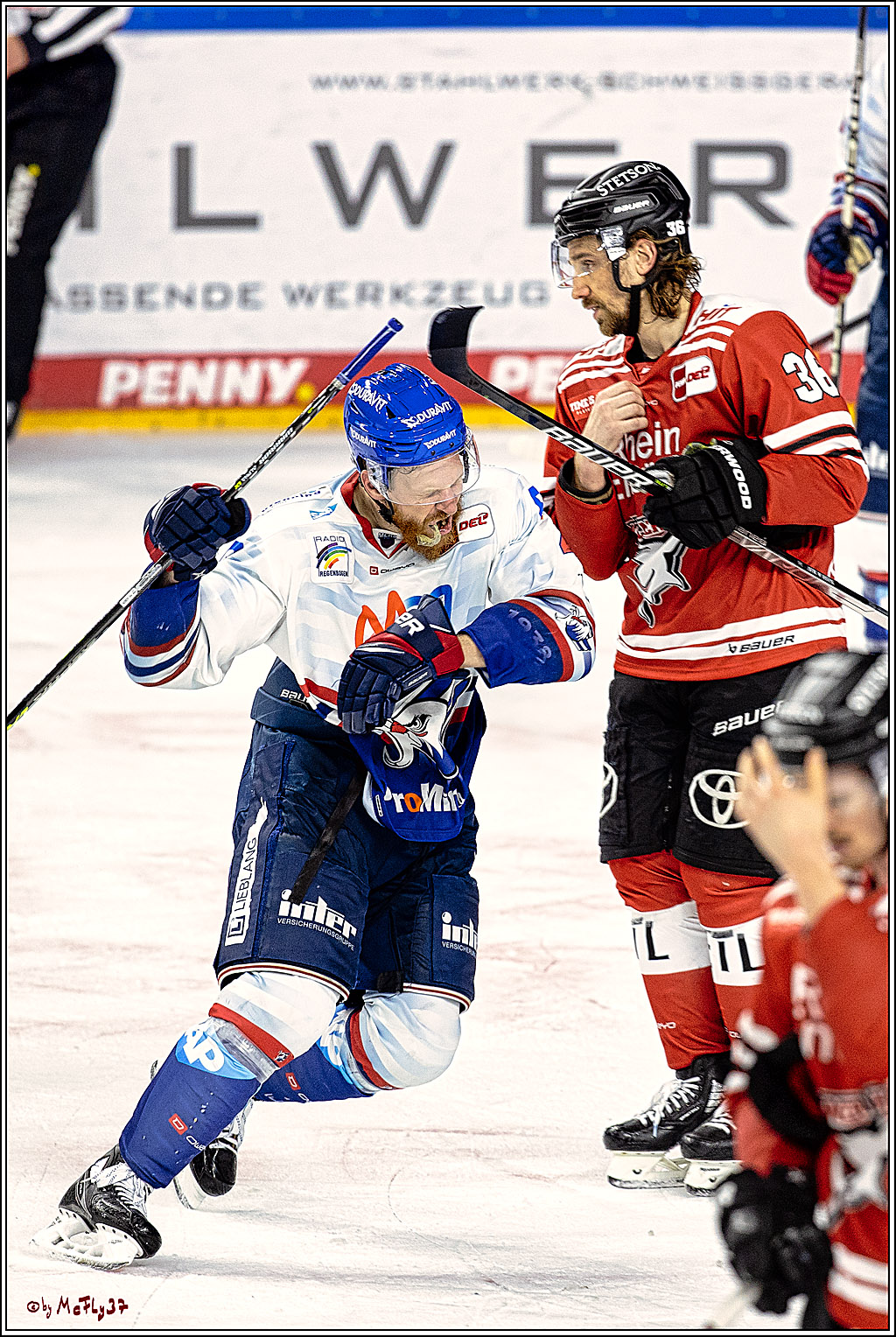 PENNY DEL Viertelfinale Spiel 6;  Koelner Haie - Adler Mannheim; Koeln, 26.03.2023